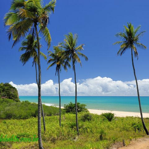 Strand Japara Grande