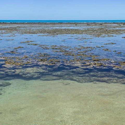 Recifes de Guaratiba