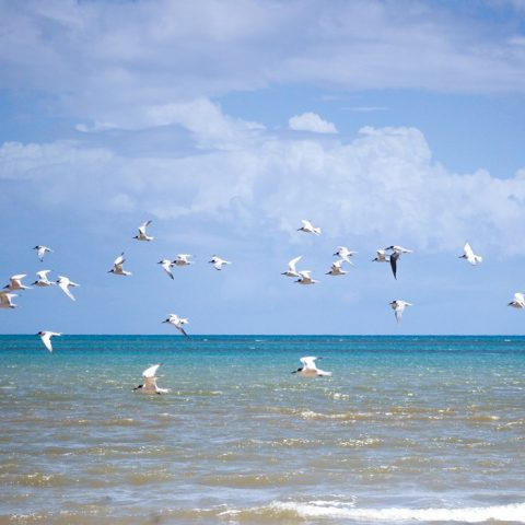 Passeio no Mar