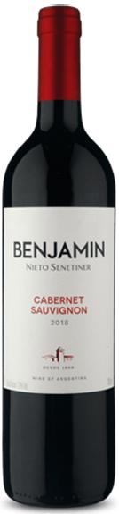 Benjamin Nieto Senetiner Cabernet Sauvignon